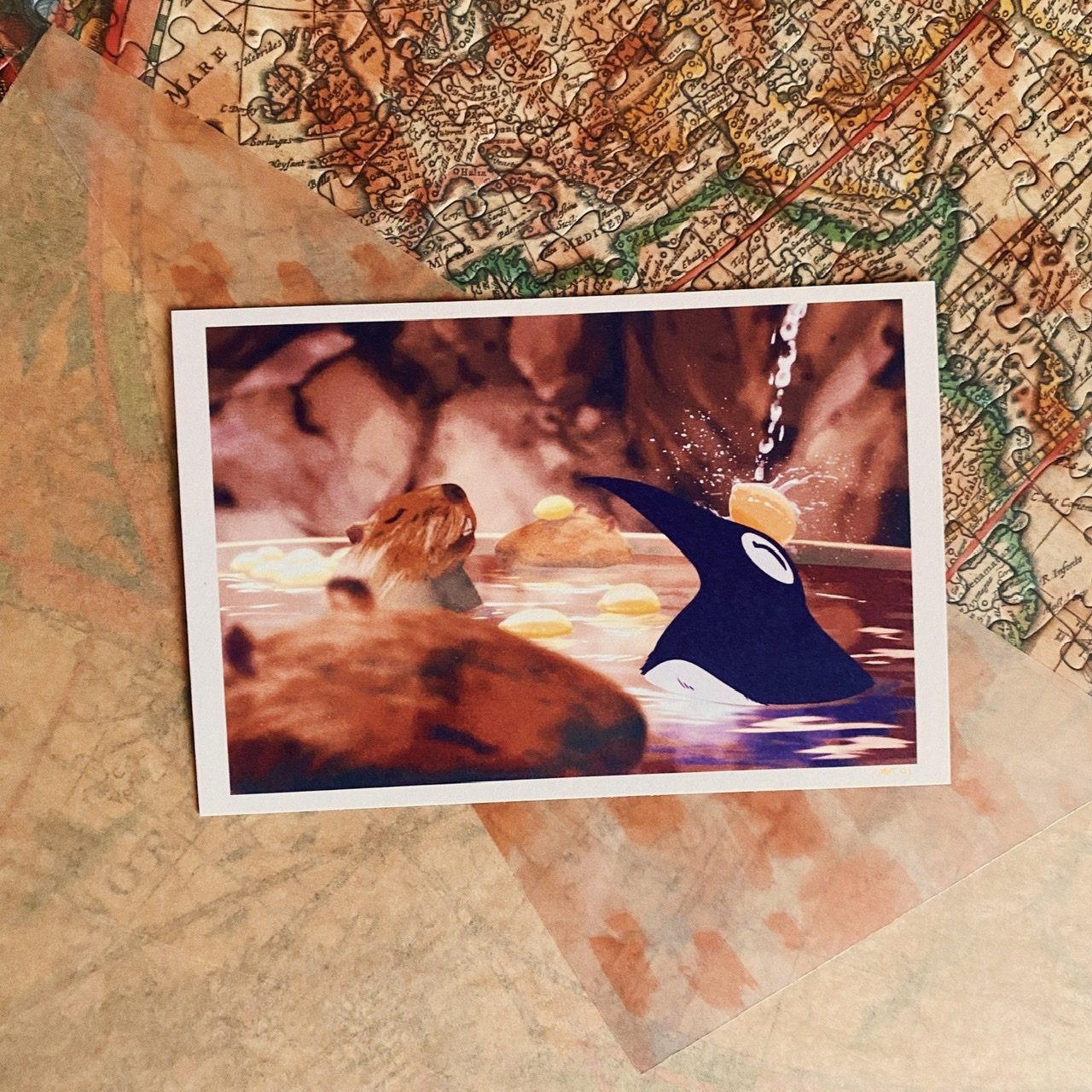 Travel Boy Honk Postcards Set