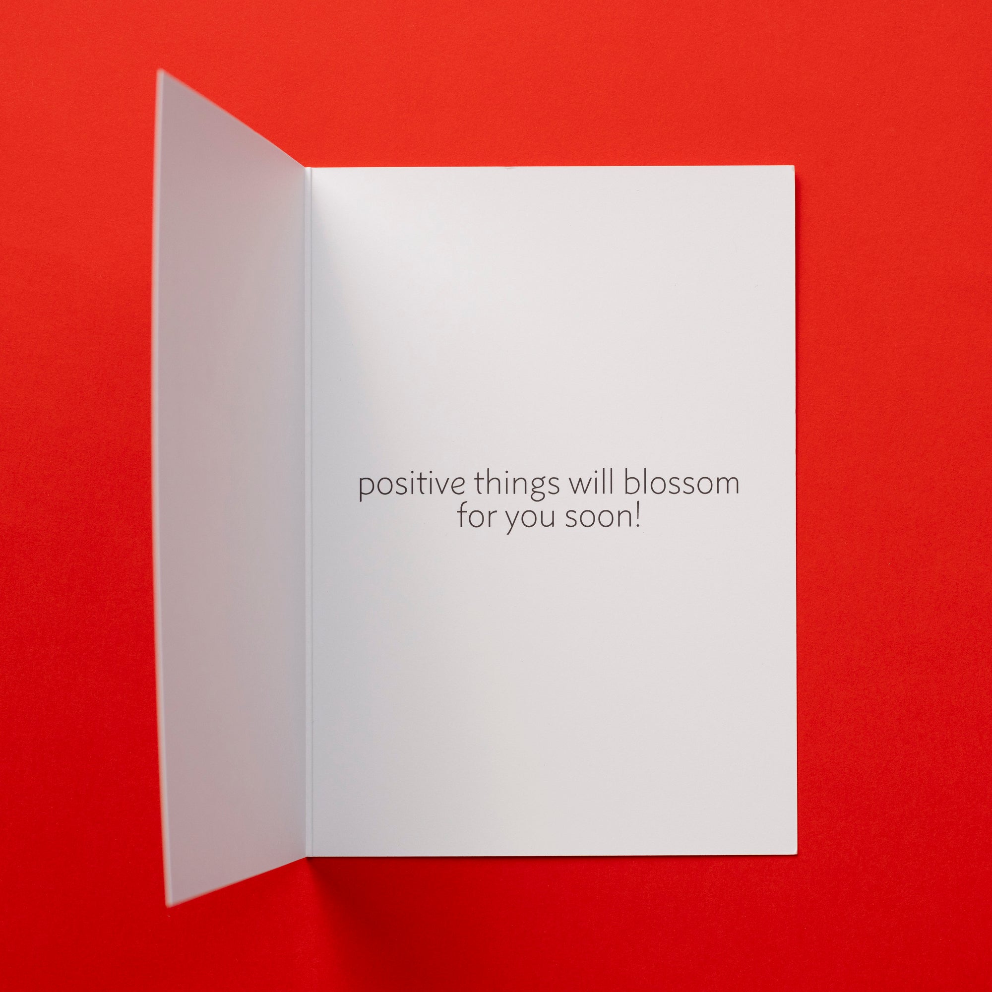 Oopsie Daisy Greeting Card