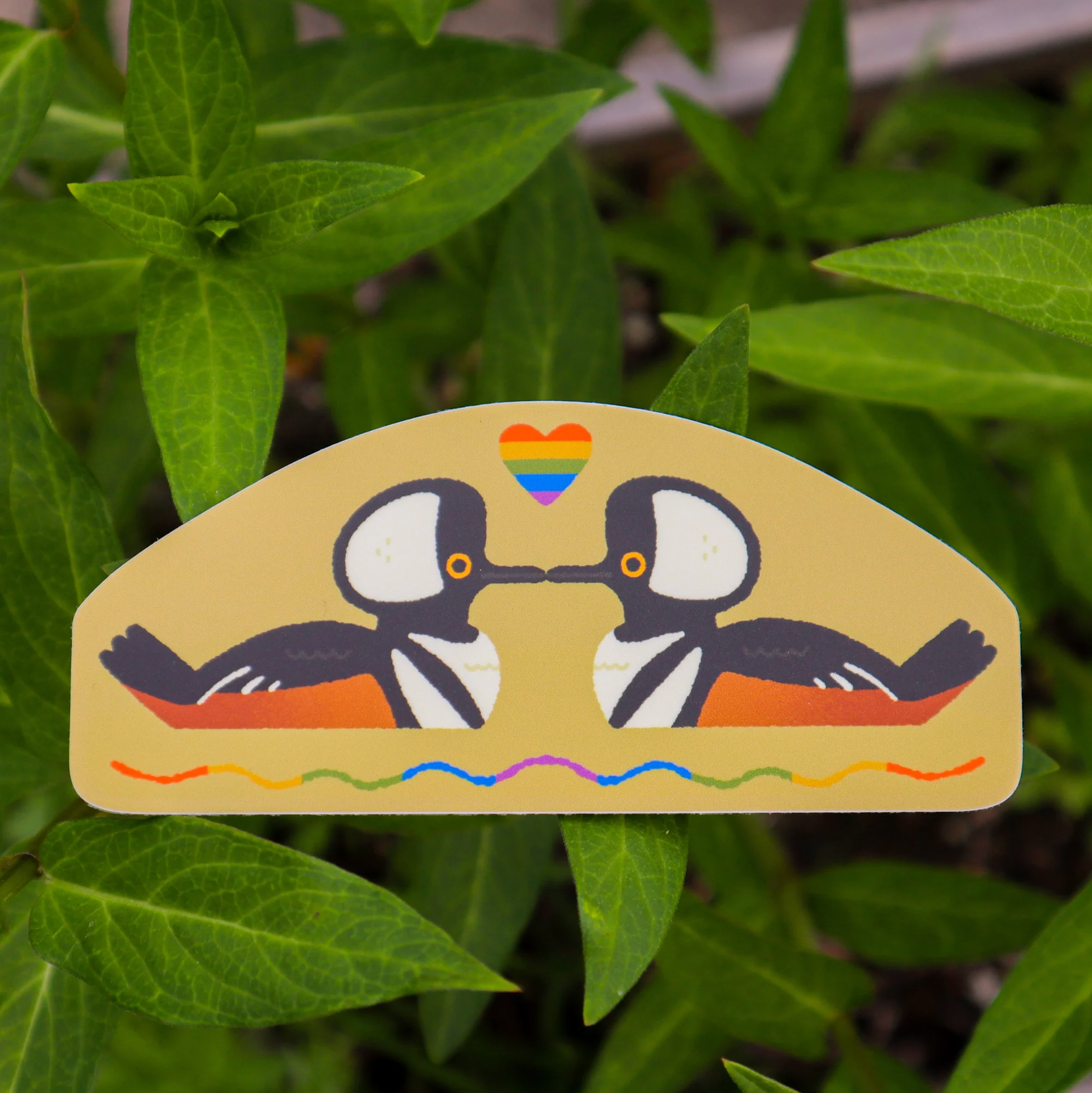 Pride Birds - Ducks