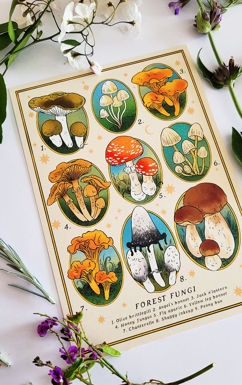 Fungi Forest Print