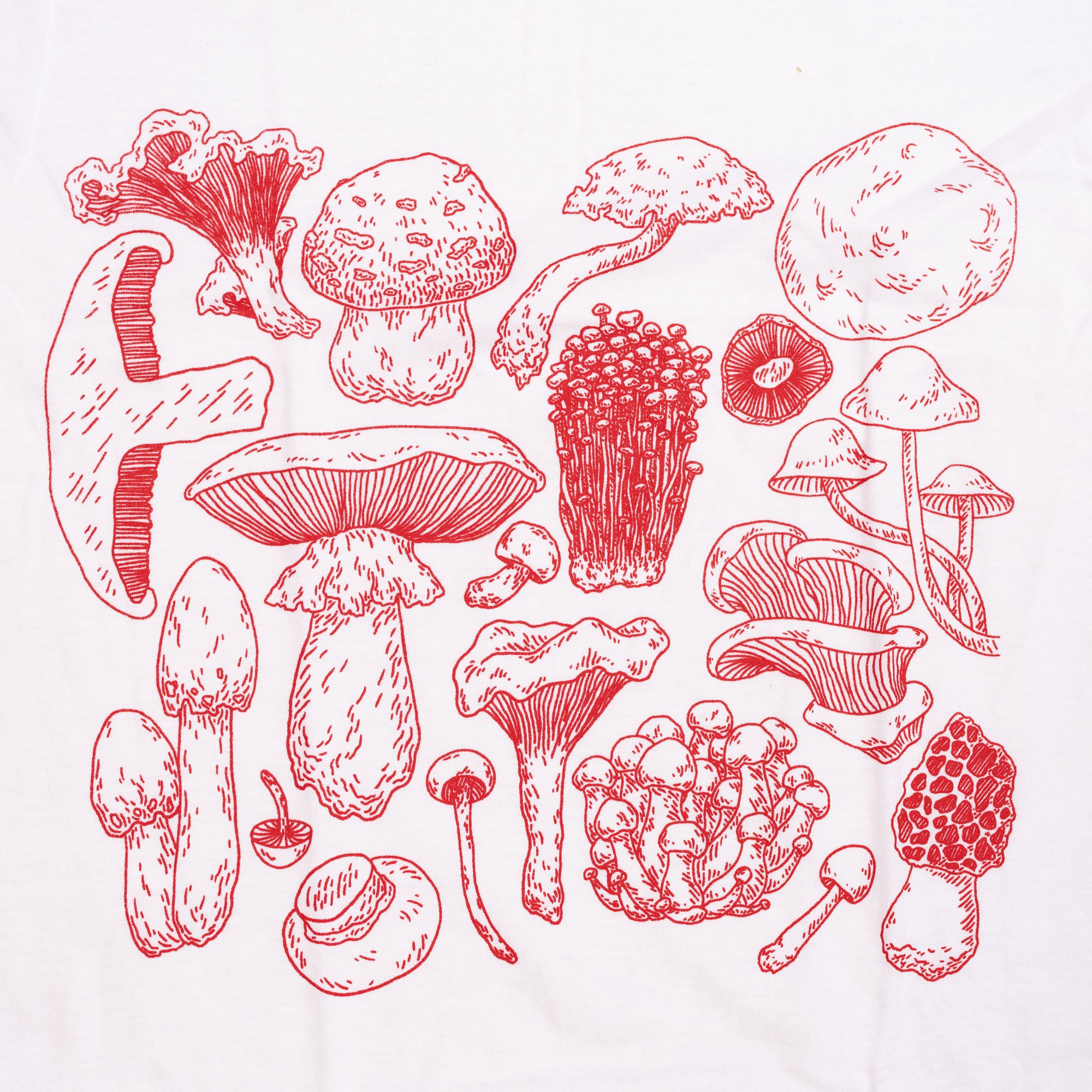 Mycelium Shirt