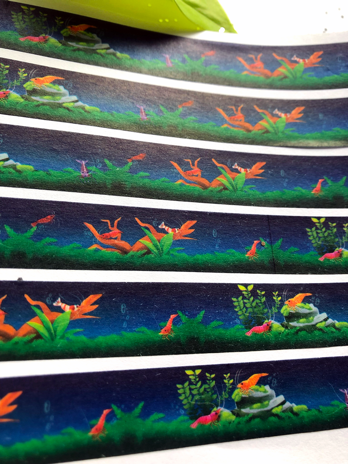 Shrimp Washi