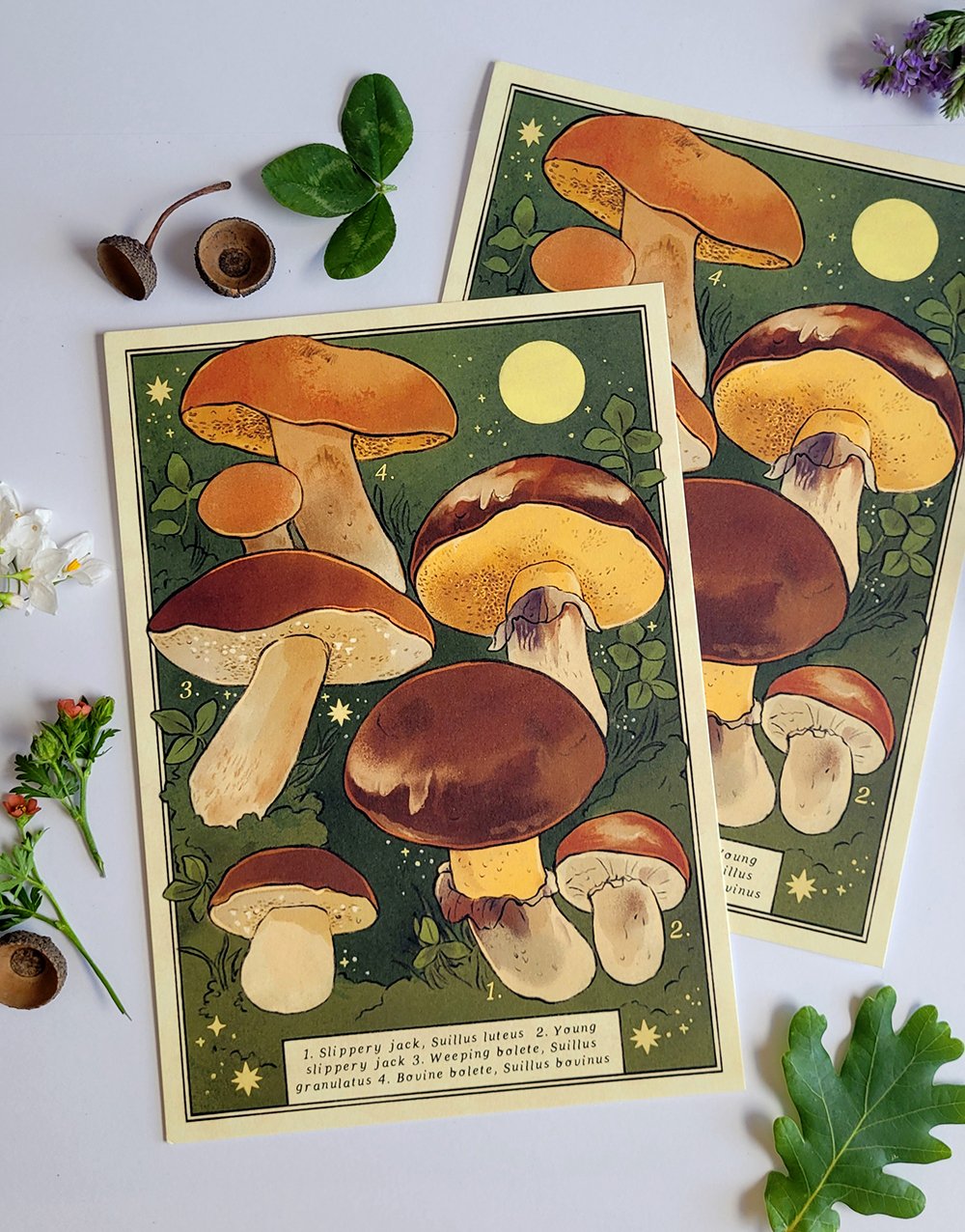 Fungi Foray Print - 2