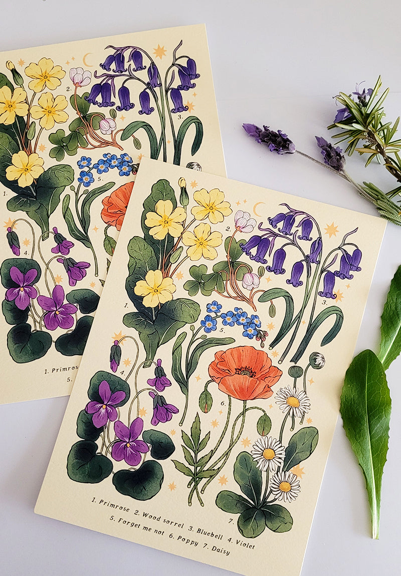 Meadow Flowers Print